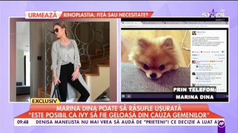 Căţeluşa Marinei Dina a fost găsită, dar ce s-a &icirc;nt&acirc;mplat mai apoi: "Doamna nici nu a vrut să audă"