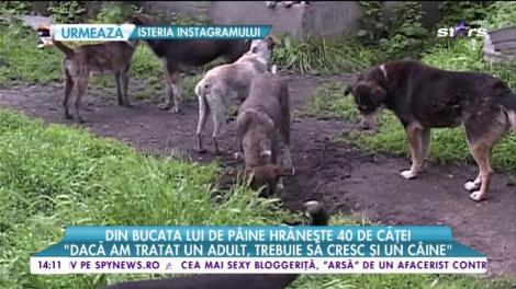 Din bucata lui de pâine hrăneşte 40 de căţei