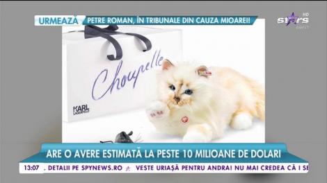 Ea este cea mai bogată pisică din lume! Are servitoare, gardă de corp și o avere de peste 10 milioane de dolari