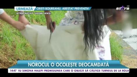 Divele din showbiz, singure pe drumul vieții! De ce nu au partener de viață, deși sunt femei de succes!