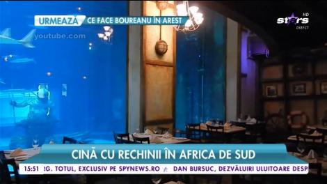 Senzaţii tari din Maldive până în Dubai! Cum să savurezi cina cu rechinii lângă tine. Cele mai frumoase restaurante subacvatice din lume