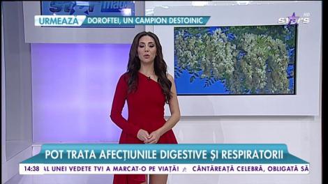 Florile de salcâm, pe post de medicament