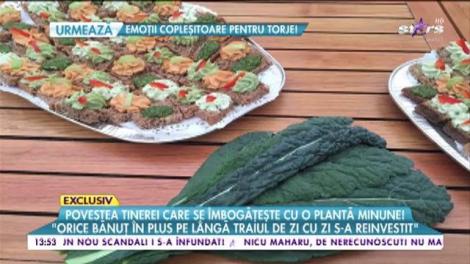 Cultivă o plantă miraculoasă şi se îmbogăţeşte!