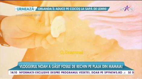 Încă un episod din aventurile familiei Sînă-Serea la mare!
