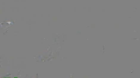 Roxana Nemeş vorbeşte în premieră despre noul iubit!