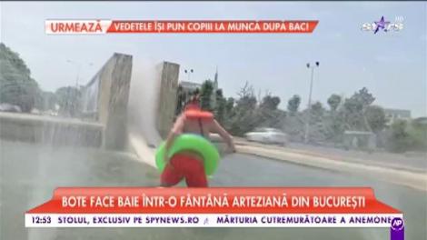 STARroganţa: Bote face baie &icirc;ntr-o f&acirc;nt&acirc;nă arteziană din Bucureşti