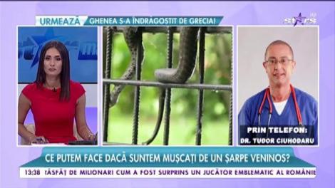 Ce putem face dacă suntem muşcaţi de un şarpe veninos?