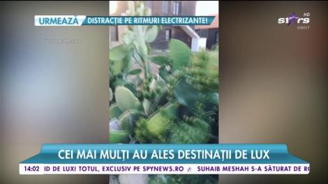 Vedetele profită de timpul liber