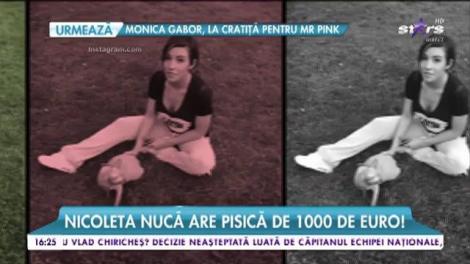 Și-ar da şi ultimul leu din buzunar pentru patrupede