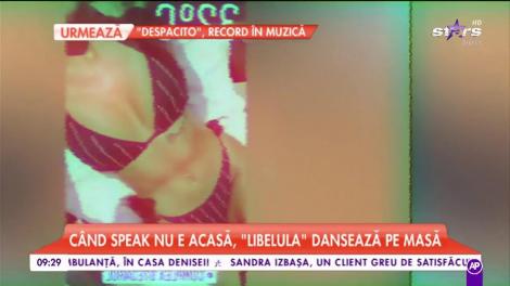Împreună, dar separaţi?! Speak se distrează în America, iar Libelula frecventează cluburile din țară