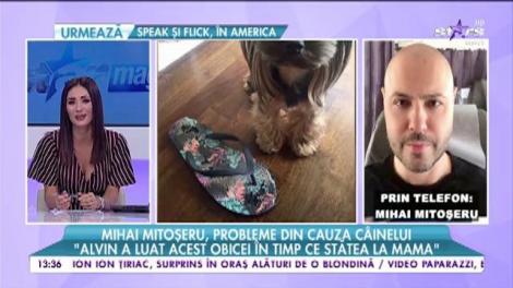 Mihai Mitoșeru a rămas fără pantofi din cauza câinelui