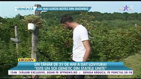 Cum poți câștiga zeci de mii de euro. un român a strâns o avere la nici 21 de ani!