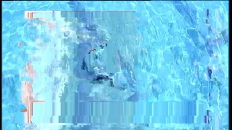 STARoganțele nu se discută, ci se execută!