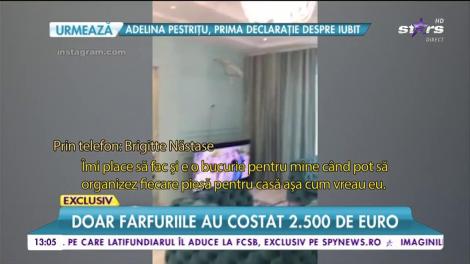 Brigitte Năstase vrea să-și picteze pescăruși pe tavan