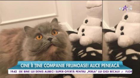 Ce îşi mai răsfaţă Alice Peneacă pisica!