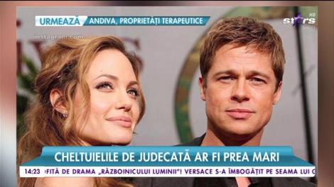 Angelina Jolie întâmpină dificultăţi în divorţul de Brad Pitt! Cheltuielile de judecată ar fi prea mari