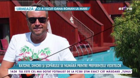 Excentricităţi de vedetă! Ce animal de companie şi-a cumpărat Adelina Pestriţu