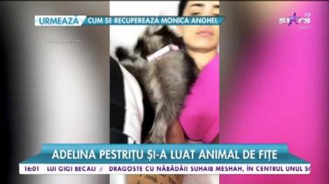 Adelina Pestriţu și-a luat animal de fițe