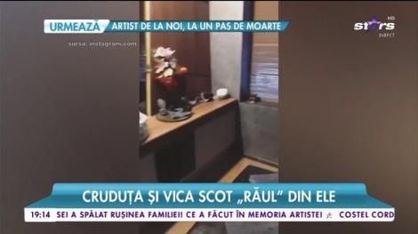 Daniela Crudu și Vica au plecat împreună la o clinică de detoxifiere