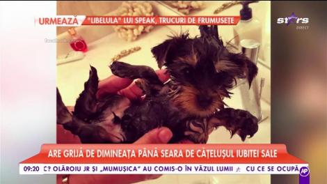 Cristian Boureanu şi-a găsit o nouă preocupare! Are grijă de câinele iubitei sale