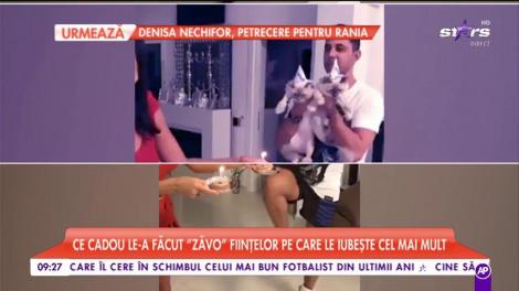 Oana Zăvoranu a organizat o petrecere surpriză pentru pisici