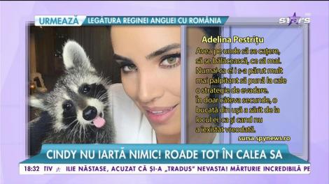 Adelina Pestriţu nu mai are linişte! S-a trezit în plină zi cu ușa spartă!