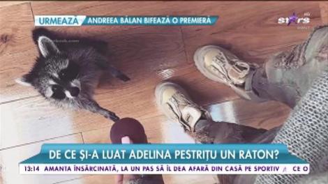 Adelina Pestrițu nu mai doarme singură! Iată cu cine își împarte bruneta casa!