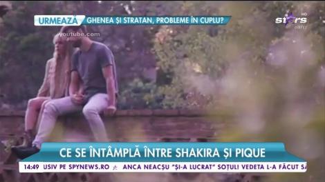 Cu ce probleme se confruntă divele noastre