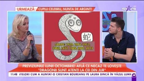 Previziunile lunii octombrie! Află ce necaz te lovește „Șobolanii au probleme la job”