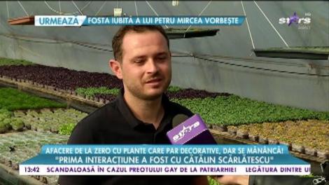 Afacere de la zero cu plante care par decorative, dar se mănâncă! „Microplantele sunt, așa cum le spunem noi, o noua categorei de legume”