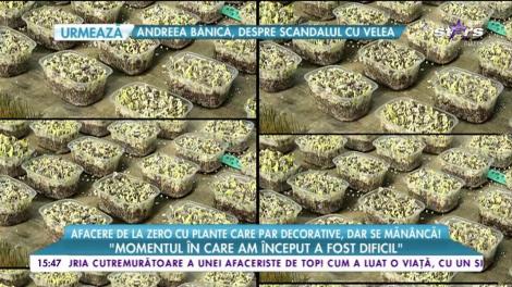 Un român a dat lovitură cu o afacere unică: produce microplante