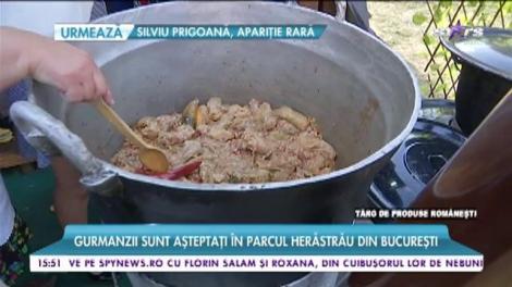 Românii mănâncă în stil tradițional în Parcul Herestrău
