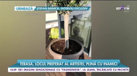 Casa de un milion de euro a Deliei, invadată de gândaci! Cântăreața nu găsește nicio rezolvare