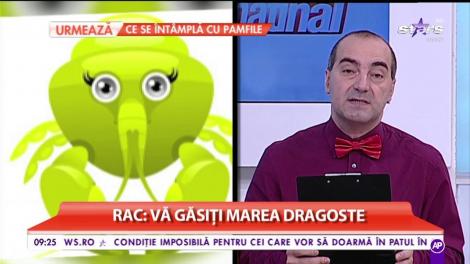 Horoscopul zilei, 14 octombrie 2017. Racii își găsesc marea dragoste