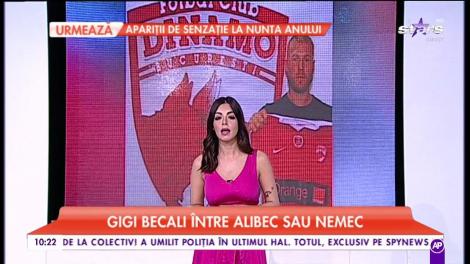 Gigi Becali nu se poate decide pe cină să aleagă dintre Alibec și Nemec