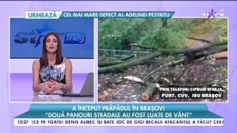 A început prăpădul în Brașov! Copac prăbușit peste două ambulanțe