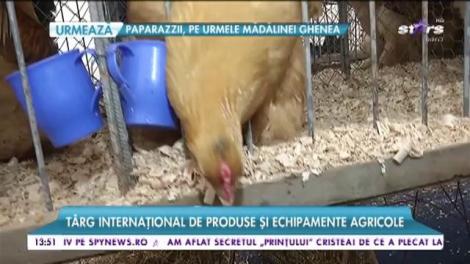 Târg internațional de produse și echipamente agricole