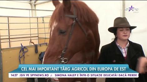 Cel mai important Târg Agricol din Europa de Est ne prezintă cele mai scumpe exemplare de animale