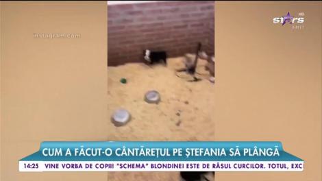 Speak și „Libelula”, primele certuri în cuplu