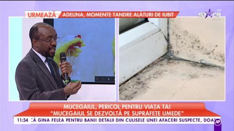 Mucegaiul, pericol pentru viața ta! Doctor Lawrence Nwabudike: ”Mucegaiul se dezvoltă pe suprafețe umede”