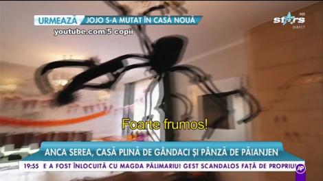 Anca Serea are casa plină de gândaci și pânză de păianjeni
