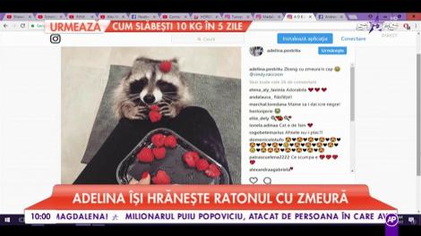 Adelina își hrănește ratonul cu zmeură. Animalul de companie al vedetei are un stil de viață sănătos