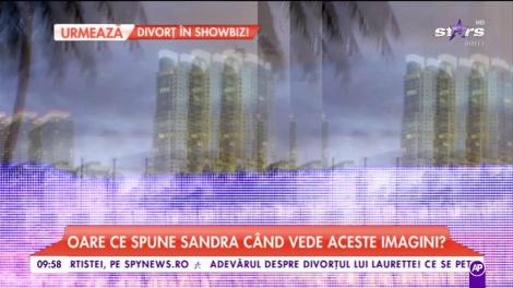 Tuncay face pe gigolo în SUA