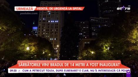 Un brad imens de Crăciun a fost amplasat în Chicago