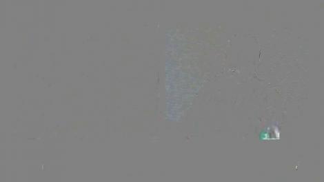 Tavi Clonda şi Gabriela Cristea, doi părinţi extrem de fericiţi! "Eram sigur că vom reuşi să avem un copil indiferent peste cât timp"