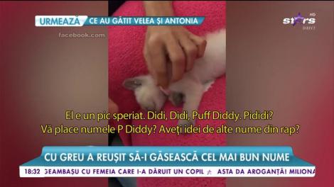 Oana Zăvoranu are un nou membru în familie. Cu greu a reușit să găsesca un nume potrivit