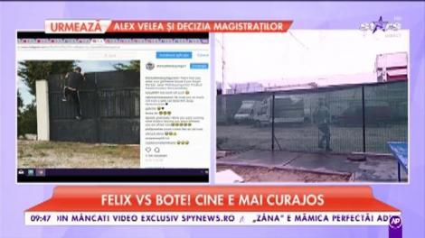 Felix vs Bote! Cine e mai curajos