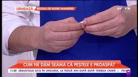 Cum se pregătesc fructele de mare. Rețete super gustoase preparate din pește