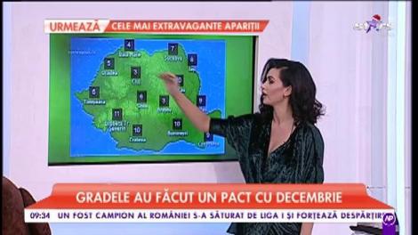 Gradele au făcut un pact cu decembrie. Maximele ajung până la 11°C