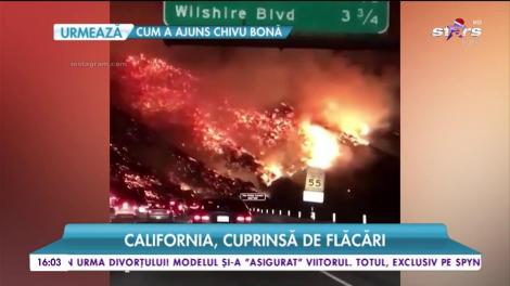 Oraşul în care Monica Gabor, în infern. Vilă luxoasă în care locuiește este amenințată de foc